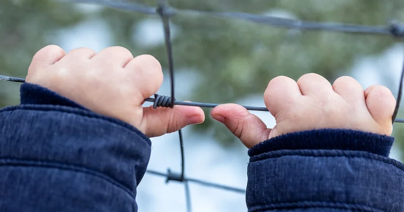 Kids and pets need barriers, not warnings