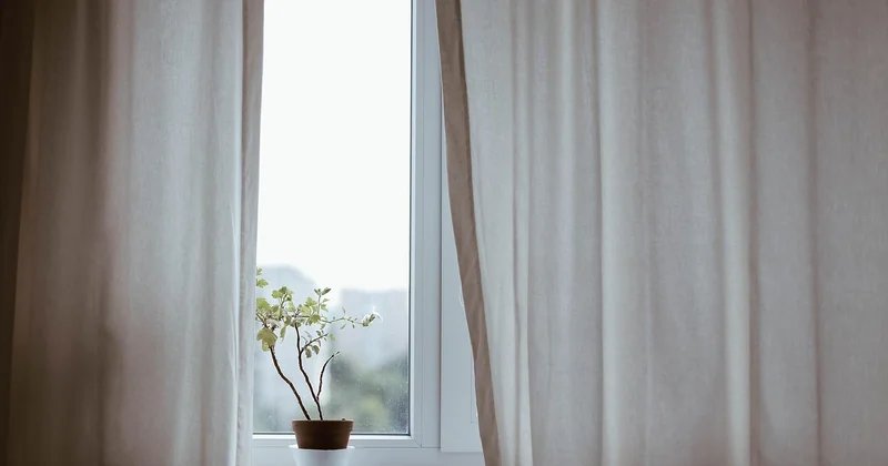 Why it works on your nervous system, not just your mood