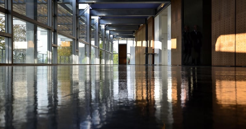 Biophilic Interior Design: Bringing Nature Indoors Made Simple