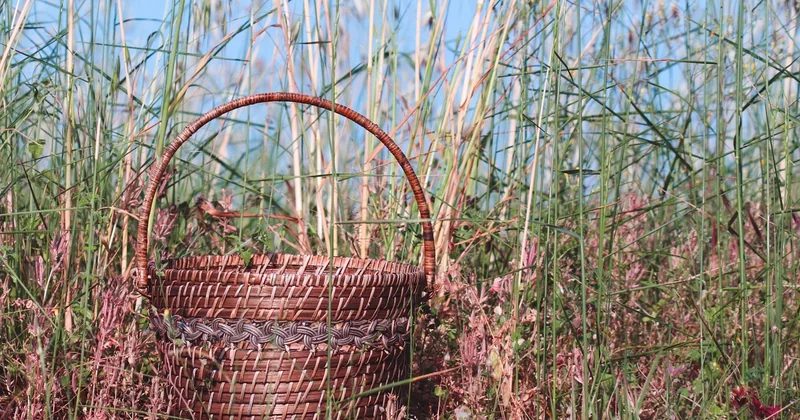 Eco-friendly house materials: what to pick and what to skip